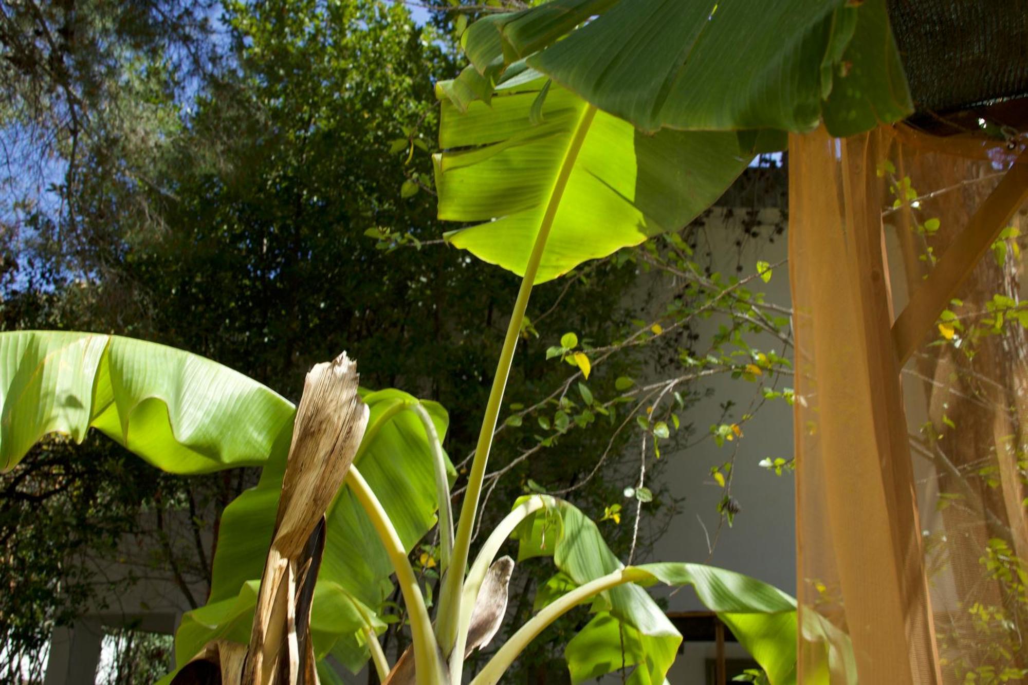 Villette Vacanze Bivona Extérieur photo
